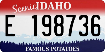 ID license plate E198736