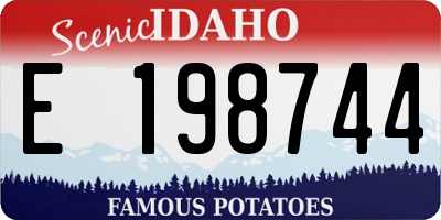 ID license plate E198744