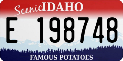 ID license plate E198748