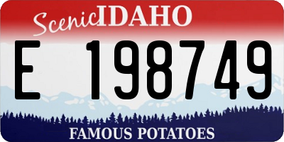 ID license plate E198749