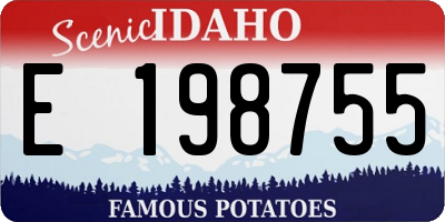 ID license plate E198755