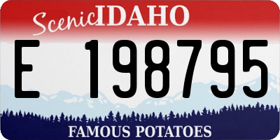 ID license plate E198795