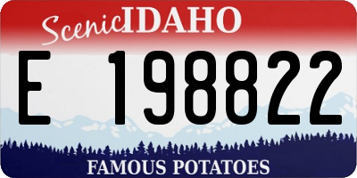 ID license plate E198822