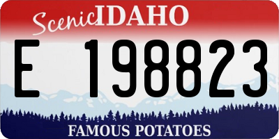 ID license plate E198823