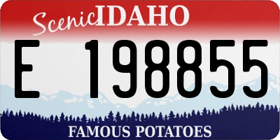 ID license plate E198855