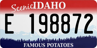 ID license plate E198872