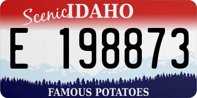 ID license plate E198873