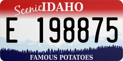 ID license plate E198875