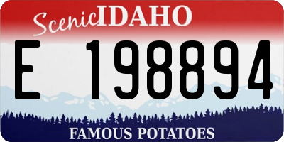 ID license plate E198894