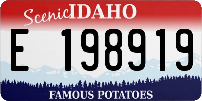 ID license plate E198919
