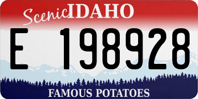 ID license plate E198928