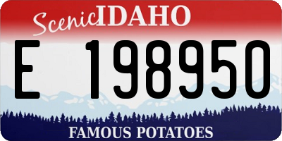 ID license plate E198950