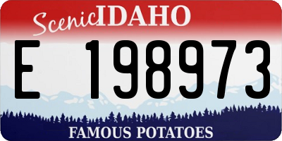 ID license plate E198973