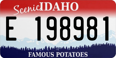 ID license plate E198981