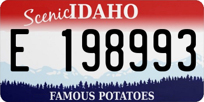 ID license plate E198993