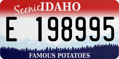 ID license plate E198995