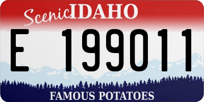 ID license plate E199011