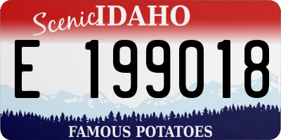 ID license plate E199018