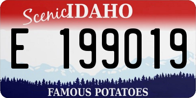 ID license plate E199019