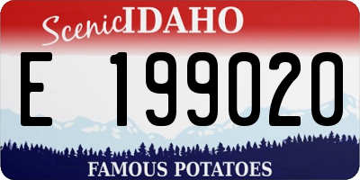 ID license plate E199020