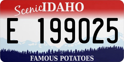 ID license plate E199025