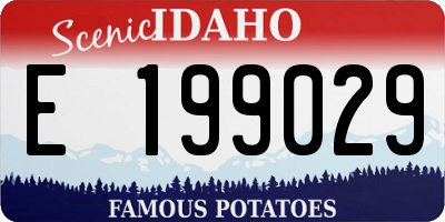 ID license plate E199029