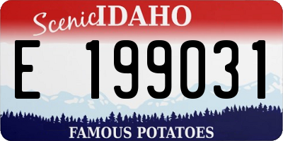 ID license plate E199031