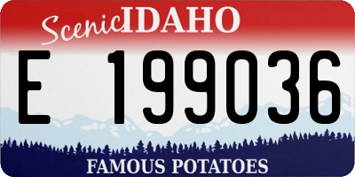 ID license plate E199036