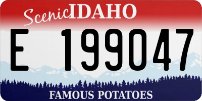 ID license plate E199047