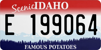 ID license plate E199064