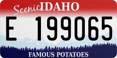 ID license plate E199065