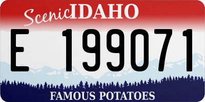 ID license plate E199071