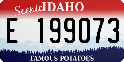 ID license plate E199073