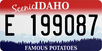ID license plate E199087