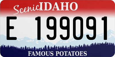 ID license plate E199091