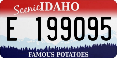 ID license plate E199095