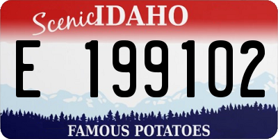 ID license plate E199102