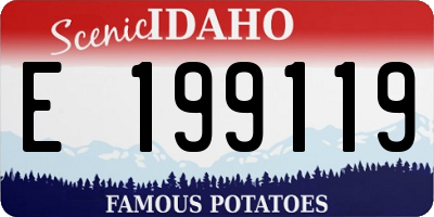 ID license plate E199119