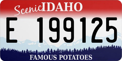 ID license plate E199125