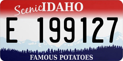 ID license plate E199127