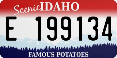 ID license plate E199134