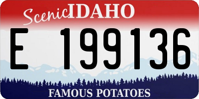 ID license plate E199136