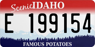 ID license plate E199154