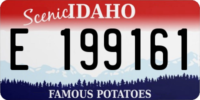 ID license plate E199161