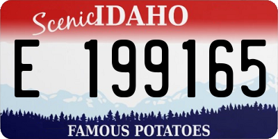 ID license plate E199165