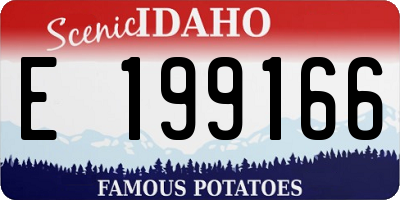 ID license plate E199166