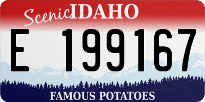 ID license plate E199167