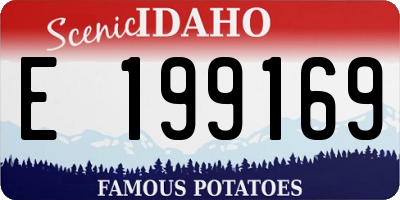 ID license plate E199169