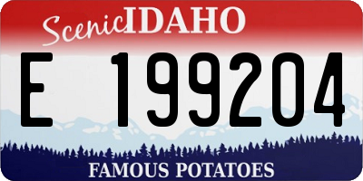 ID license plate E199204