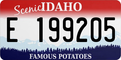 ID license plate E199205